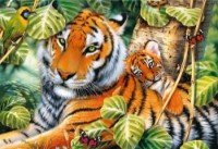Puzzle Trefl 1500 Tigers (26159) imaginea #1 — magazin online Desire.md