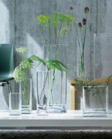 Ваза Casa Masa 20x7cm (BV860-20) фото №3 — интернет-магазин Desire.md