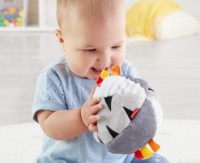 Игрушка для колясок и кроваток Fisher Price Hippo Ball (GFC35) фото №5 — интернет-магазин Desire.md