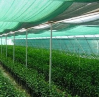 Plasa pentru umbra Greentech U60 (1.5x200) imaginea #2 — magazin online Desire.md