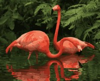 Tablou pe numere Artissimo Flamingo Couple 40x50cm (PN5747) imaginea #1 — magazin online Desire.md