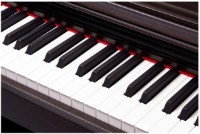 Цифровое пианино Pearl River F-12 RW фото №4 — интернет-магазин Desire.md