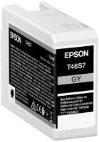 Cartuș Epson C13T46S700 Gray imaginea #1 — magazin online Desire.md