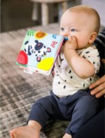 Carte educațională pentru copii Baby Einstein (11794) imaginea #4 — magazin online Desire.md