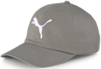 Chipiu Puma ESS Cap Ultra Gray/Big Cat imaginea #1 — magazin online Desire.md