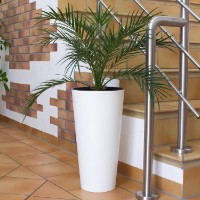 Цветочный горшок Prosperplast Tubus DTUS300-S449 фото №4 — интернет-магазин Desire.md