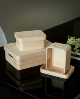 Ящик для хранения Casa Masa Norway (HYB19215 M) фото №2 — интернет-магазин Desire.md