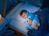 Плед Dormeo Owl Emotion 3 in 1 Blu-Blu фото №3 — интернет-магазин Desire.md