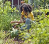 Foarfecă de gradină (secatore) Gardena ExpertCut (12203-20) imaginea #2 — magazin online Desire.md