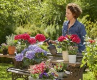 Pulverizator Gardena 1L (11112-20) imaginea #3 — magazin online Desire.md