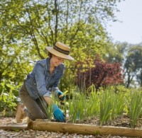 Mănuși de protecție Gardena 9/L (11512-20) imaginea #2 — magazin online Desire.md