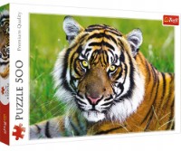 Puzzle Trefl 500 Tiger Portrait (37397) imaginea #2 — magazin online Desire.md
