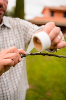 Лента для подвязки Stocker 2081 фото №2 — интернет-магазин Desire.md