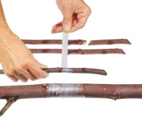 Bandă pentru jartă Stocker 2088 imaginea #2 — magazin online Desire.md