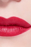 Помада для губ Chanel Rouge Allure Intense 607 Camelia Rouge Metal фото №3 — интернет-магазин Desire.md