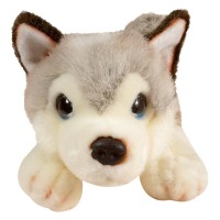 Jucărie de pluș Keel-Toys Signature Cuddle Puppy Husky (SD2458)  imaginea #3 — magazin online Desire.md