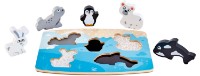 Развивающий набор Hape Polar Animal (E1620)