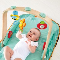 Игровой коврик Hape Portable Baby Gym (E0045A) фото №3 — интернет-магазин Desire.md