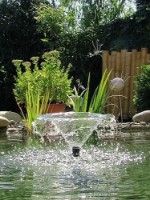 Насос для фонтана Pontec PondoVario 1000 (56719) фото №3 — интернет-магазин Desire.md