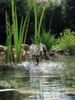 Насос для фонтана Pontec PondoVario 1000 (56719) фото №4 — интернет-магазин Desire.md