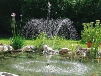 Насос для фонтана Pontec PondoVario 1000 (56719) фото №5 — интернет-магазин Desire.md