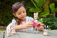 Păpușa Enchantimals (GYJ08) imaginea #3 — magazin online Desire.md