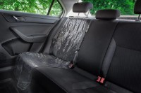 Защитный чехол для автокресла Caretero (1090) фото №4 — интернет-магазин Desire.md