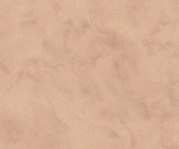 Tapete EuroDecor 9073-02 Black Orchid imaginea #1 — magazin online Desire.md