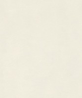 Обои Rasch 418613 Club фото №1 — интернет-магазин Desire.md