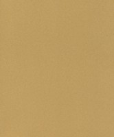 Обои Rasch 418651 Club фото №1 — интернет-магазин Desire.md