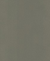 Обои Rasch 418668 Club фото №1 — интернет-магазин Desire.md