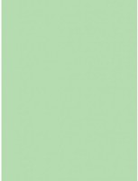 Hartie copiator Mondi A4 IQ Color Medium Green 500p 80g/m2 MG28 imaginea #2 — magazin online Desire.md