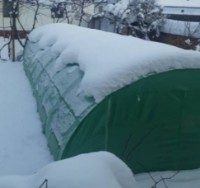 Peliculă pentru seră Tehno MS Kontrast 6x3x2m imaginea #3 — magazin online Desire.md