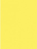 Hartie copiator Mondi A4 IQ Color Canary Yellow 500p 80g/m2 CY39 imaginea #2 — magazin online Desire.md