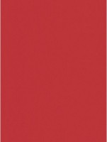 Hartie copiator Mondi A4 IQ Color Coral Red 500p 80g/m2 CO44 imaginea #2 — magazin online Desire.md