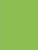 Hartie copiator Mondi A4 IQ Color Intensive Green 500p 80g/m2 MA42 imaginea #2 — magazin online Desire.md