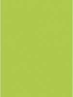 Hartie copiator Mondi A4 IQ Color Limegreen 500p 80g/m2 LG46 imaginea #2 — magazin online Desire.md