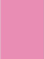 Бумага для печати Mondi A4 IQ Color Neon Pink 500p 80g/m2 NEOPI