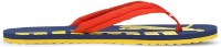 Șlapi pentru bărbați Puma Epic Flip v2 Elektro Blue/Poppy Red 47 imaginea #3 — magazin online Desire.md