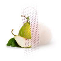 Парфюм для неё Salvatore Ferragamo Amo Per Lei 100ml фото №3 — интернет-магазин Desire.md