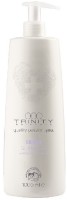 Șampon pentru păr Trinity Blonde Silver 30742 1000ml