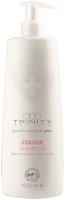 Șampon pentru păr Trinity Colour 30723 1000ml