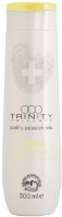 Șampon pentru păr Trinity Summer 30744 300ml