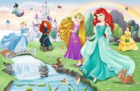 Пазл Trefl 60 Meet the Princesses (17361)
