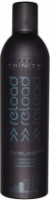 Лак для укладки волос Trinity Reload Finalizer 300ml (17806) фото №1 — интернет-магазин Desire.md