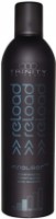 Лак для укладки волос Trinity Reload Finalizer 500ml (17807) фото №1 — интернет-магазин Desire.md