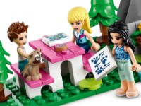 Set de construcție Lego Friends: Forest Camper Van and Sailboat (41681) imaginea #3 — magazin online Desire.md
