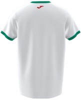 Детская футболка Joma 500348.204 White/Green 3XS фото №2 — интернет-магазин Desire.md