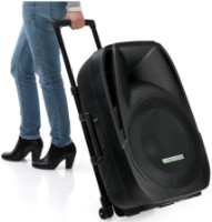 Колонка Pronomic PH15AW фото №3 — интернет-магазин Desire.md