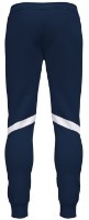 Pantaloni spotivi pentru bărbați Joma 102057.332 Navy 2XL imaginea #2 — magazin online Desire.md